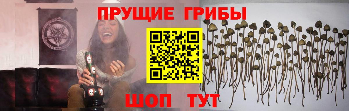 Псилоцибиновые грибы мицелий  Вход с VPN  Добрянка 